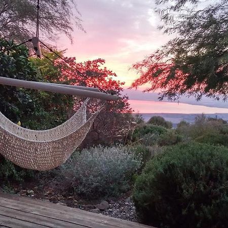 Green Island Ma'ale Gamla Zewnętrze zdjęcie