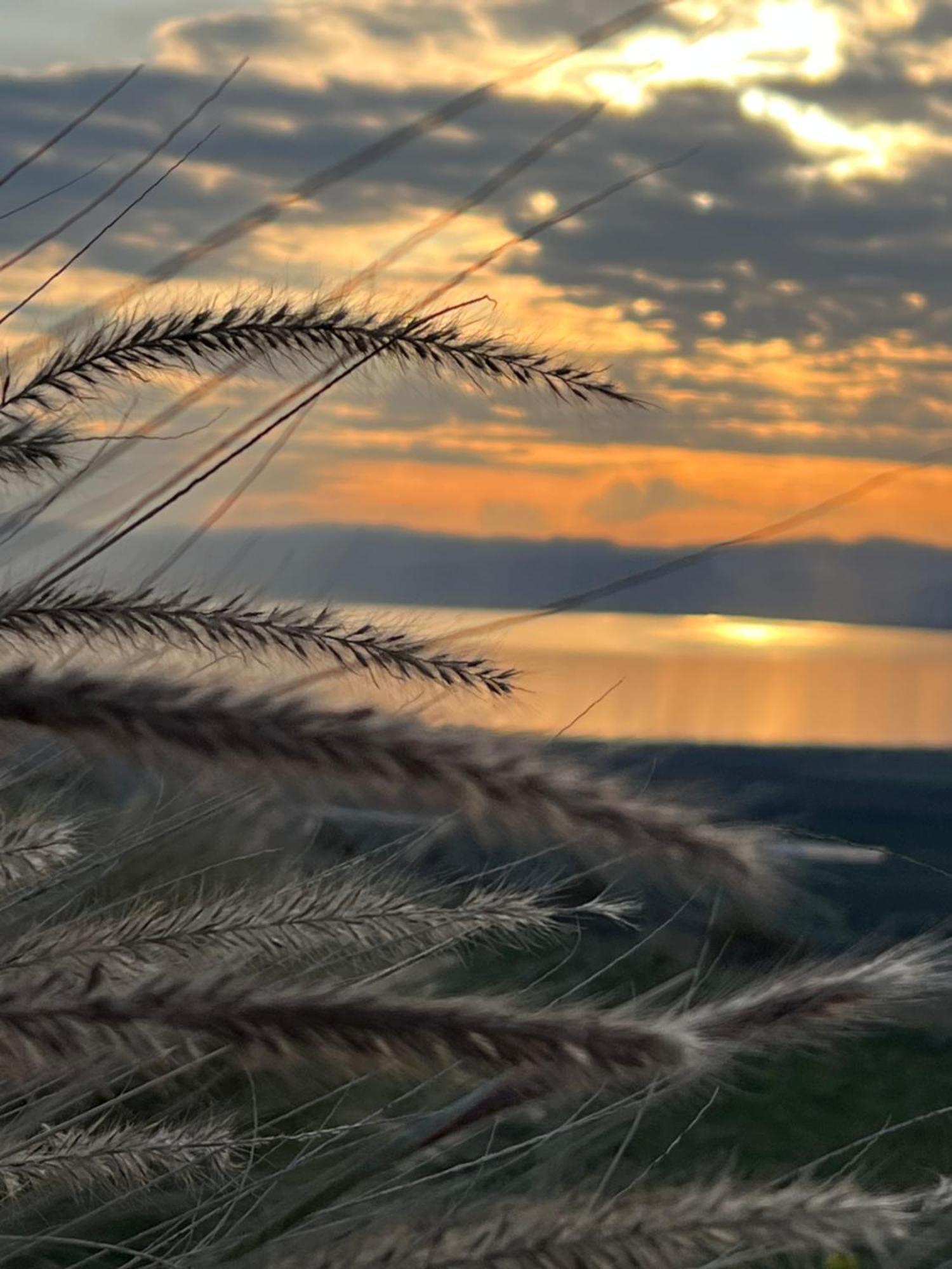 Green Island Ma'ale Gamla Zewnętrze zdjęcie