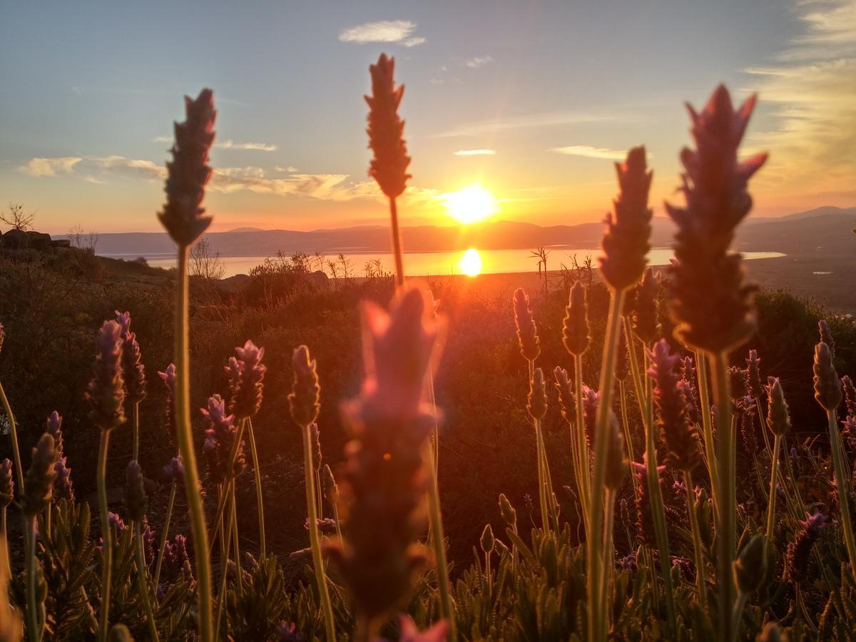 Green Island Ma'ale Gamla Zewnętrze zdjęcie
